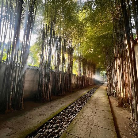 Villa Boreh Beach Resort And Spa Tejakula Ngoại thất bức ảnh